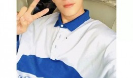 娱乐圈吃瓜测试,揭秘明星背后的秘密与八卦