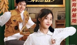 娱乐圈吃瓜短剧推荐小说,从吃瓜短剧到小说的奇幻之旅