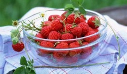 娱乐吃瓜酱草莓视频下载