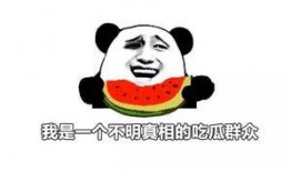 吃瓜小逗说娱乐,吃瓜小逗带你揭秘娱乐圈最新热点事件