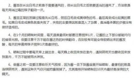 娱乐吃瓜酱发言稿怎么写,娱乐圈幕后真相大曝光