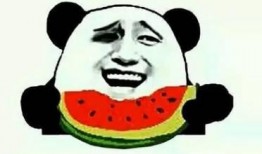 娱乐吃瓜酱睡觉