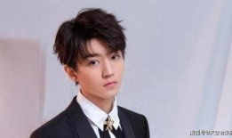 娱乐吃瓜蜀黍王俊凯小说,娱乐圈的甜蜜瓜田