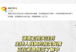 娱乐吃瓜网718,揭秘娱乐圈最新热点事件