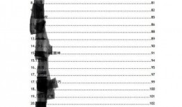 娱乐圈pdf吃瓜,揭秘明星幕后故事与八卦传闻