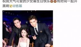 娱乐圈大型吃瓜日,揭秘明星幕后真相，热点事件盘点！