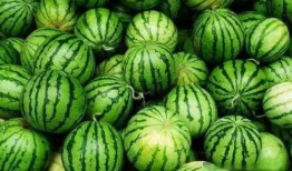 NGA娱乐吃瓜区,揭秘娱乐圈幕后故事，带你领略明星们的真实生活