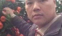 娱乐吃瓜橘子哥是谁