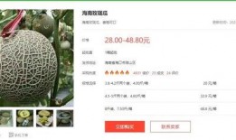 娱乐吃瓜网718,揭秘娱乐圈最新热点事件