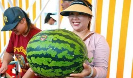 吃瓜娱乐公司,揭秘娱乐圈幕后那些事儿