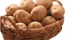 娱乐吃瓜小金土豆,揭秘吃瓜群众背后的土豆人生