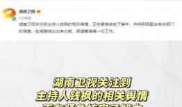 娱乐吃瓜778,揭秘娱乐圈背后的那些事儿