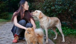 娱乐吃瓜酱女生养的狗