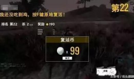 瓜哥娱乐吃鸡视频