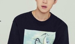 娱乐吃瓜酱刘宪华,娱乐吃瓜界的“瓜王”传奇