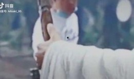 七七和铲屎官娱乐吃瓜君