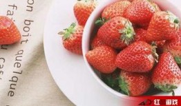 娱乐吃瓜酱草莓视频下载