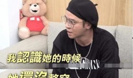 娱乐吃瓜站完整版,娱乐吃瓜站完整版深度解析